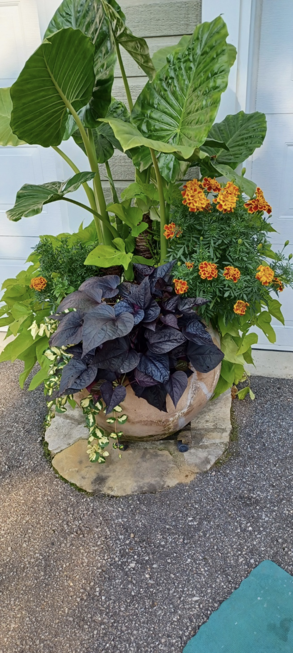 créer un jardin éblouissant toute l'année